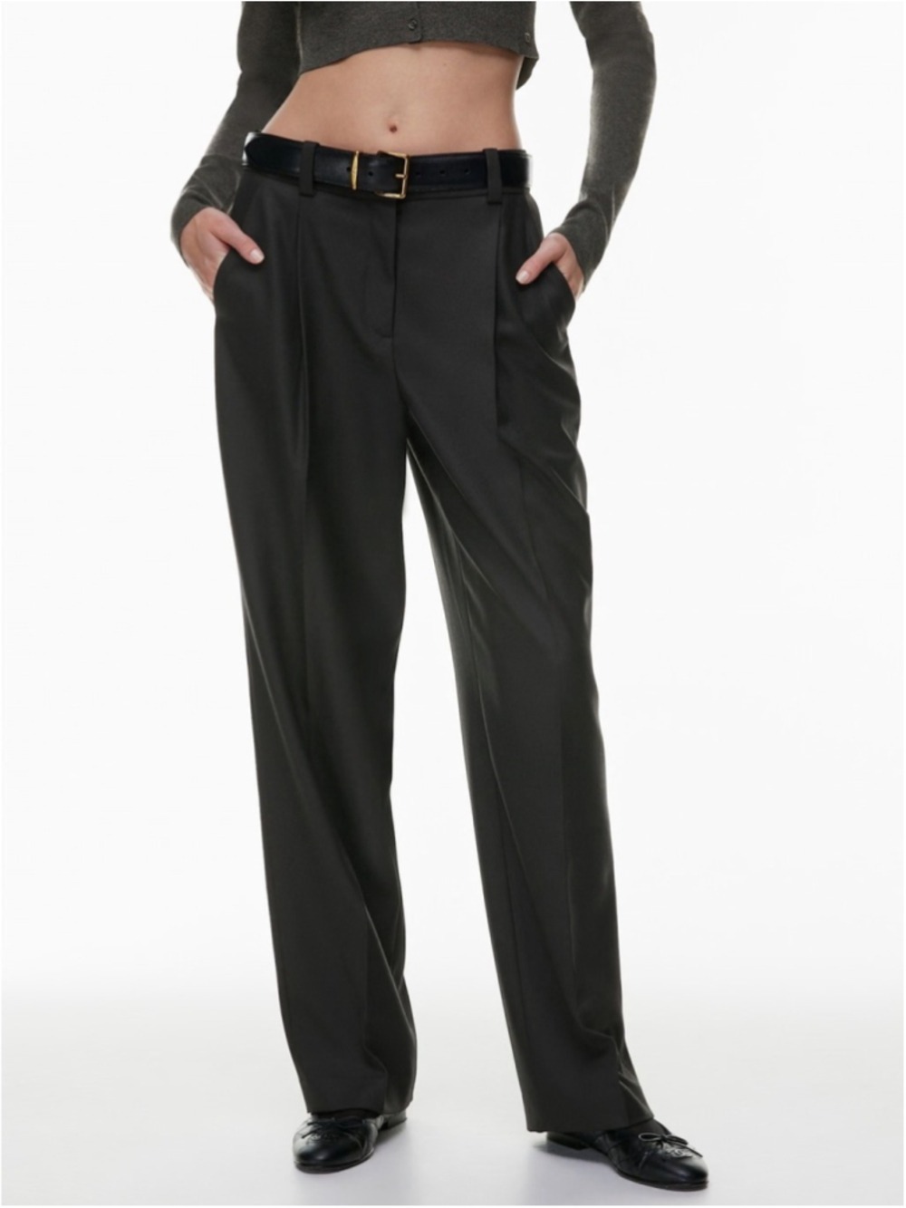 ARITZIA SUNDAY BEST JUNIE WIDE LEG Relaxed Pleated Twill Pants Size 6